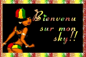 Bienvenus!!